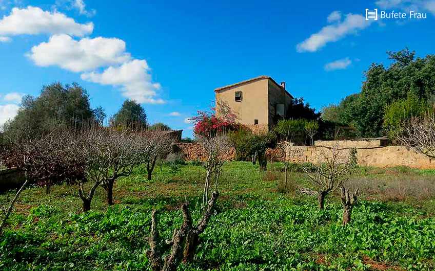 casas en suelo rustico ¿que tengo que saber en caso de compraventa bufete frau